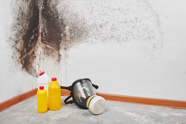 Crawl Space Mold Removal in Springdale, PA