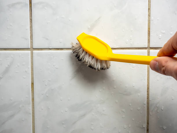 Best Water Damage Restoration  in Springdale, PA